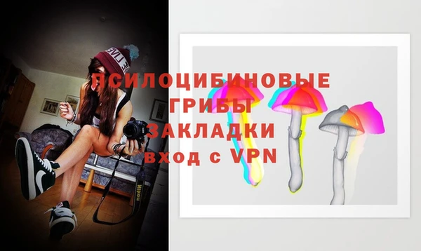 ГАЛЛЮЦИНОГЕННЫЕ ГРИБЫ Лихославль